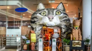 Bayaran Masuk Muzium Kucing Terkini 2025