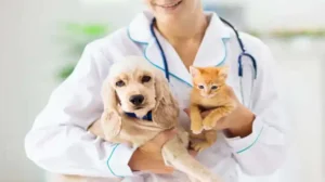 Bayaran Rawatan Klinik Veterinar Kerajaan Malaysia 2025
