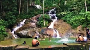 Harga Tiket Taman Eko Rimba Kanching Terkini 2025